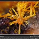 Mimetite<br />Rowley Mine, Theba, Painted Rock District, Painted Rock Mountains, Maricopa County, Arizona, USA<br />fov 2.4 mm<br /> (Author: ploum)