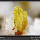 Mimetite<br />Mas Dieu, Mercoirol, Alès, Gard, Occitanie, France<br />fov 2.2 mm<br /> (Author: ploum)