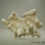 Ópalo (variedad menilito)Gypsum deposit, Galera, Comarca de Huéscar, Granada, Andalusia, Spain78 x 56 x 33 mm (Autor: Rafael Galiana)