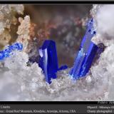 Linarite<br />Grand Reef Mine, Laurel Canyon, Grand Reef Mountain, Klondyke, Aravaipa District, Graham County, Arizona, USA<br />fov 2.2 mm<br /> (Author: ploum)