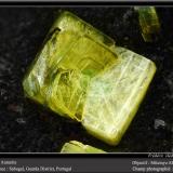 Autunite<br />Sabugal, Guarda District, Centro Region, Portugal<br />fov 2.2 mm<br /> (Author: ploum)