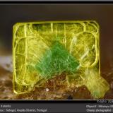 Autunite and torbernite<br />Sabugal, Guarda District, Centro Region, Portugal<br />fov 2.2 mm<br /> (Author: ploum)