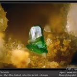 Torbernite<br />Clara Mine, Rankach Valley, Oberwolfach, Wolfach, Black Forest, Baden-Württemberg, Germany<br /><br /> (Author: ploum)