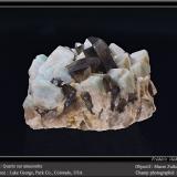 Microcline (variety amazonite) and Quartz (variety smoky)Lake George, Park County, Colorado, USAfov 60 mm (Author: ploum)