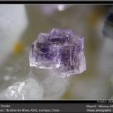 Fluorite<br />Buxières-les-Mines, Moulins, Allier, Auvergne-Rhône-Alpes, France<br />fov 2.2 mm<br /> (Author: ploum)