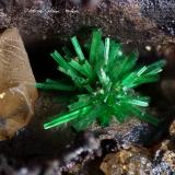 MalaquitaMina Santa Isabel, Sierra de Enmedio, Almendricos, Lorca, Comarca Alto Guadalentín, Región de Murcia (Murcia), EspañaEncuadre de la fotografía 4 mm. (Autor: Rafael Galiana)