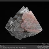 FluoriteAiguille Verte (lado La Charpoua), Mont Blanc, Chamonix, Haute-Savoie, Auvergne-Rhône-Alpes, Franciafov 5 cm (Author: ploum)