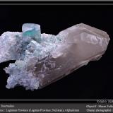 Elbaite (Tourmaline Group) on Quartz (variety smoky)Provincia Laghman, Afganistánfov 10 cm (Author: ploum)