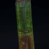 Elbaite<br />Dara-i-Pech pegmatite, Chapa Dara District, Kunar Province (Konar), Afghanistan<br />7.8 x 1.8 cm<br /> (Author: am mizunaka)