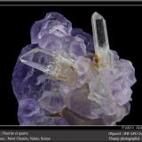 Fluorite and QuartzMont Chemin, Martigny, Wallis (Valais), Suizafov 14 mm (Author: ploum)