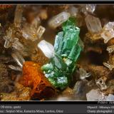 Olivenite and Quartz<br />Serpieri Mine, Kamariza Mines, Lavrion Mining District, Attikí (Attica) Prefecture, Greece<br />fov 2.2 mm<br /> (Author: ploum)