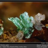 Olivenite and QuartzMina Serpieri, Minas Kamariza, Distrito minero Lavrion, Prefectura Attikí (Attica), Greciafov 2.2 mm (Author: ploum)