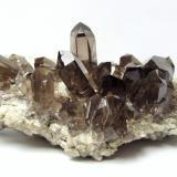 Smoky quartzVal Valley, Tujetsch (Tavetsch), Vorderrhein Valley, Grischun (Grisons; Graubünden), SwitzerlandSpecimen size 13 cm, largest crystal 3 cm (Author: Tobi)