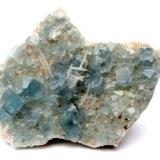 Fluorite<br />Blanchard Mine (Portales-Blanchard Mine), Bingham, Hansonburg District, Socorro County, New Mexico, USA<br />Specimen size 9 cm, largest fluorite crystal 1 cm<br /> (Author: Tobi)