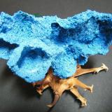 Shattuckite<br />Kaokoveld Plateau, Kunene Region, Namibia<br />95x55x25mm<br /> (Author: Heimo Hellwig)