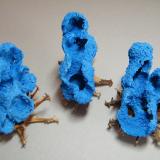 Shattuckite<br />Kaokoveld Plateau, Kunene Region, Namibia<br />to follow<br /> (Author: Heimo Hellwig)