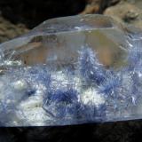 Dumortierite in QuartzVaca Morta Quarry, Serra da Vereda, Boquira, Bahia, Northeast Region, Brazil35 mm. x 18 mm. x 10 mm. (Author: Val)