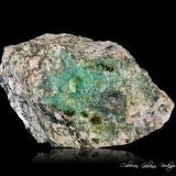 Eulytina<br />Cantera Hechtsberg, Hausach, Selva Negra, Baden-Württemberg, Alemania<br />76 x 45 x 39 mm.<br /> (Autor: Rafael Galiana)