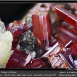 Realgar and StibniteMina Getchell, Pico Adam, Distrito Potosi, Montes Osgood, Condado Humboldt, Nevada, USAfov 4.5 mm (Author: ploum)