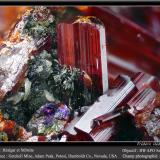 Realgar and StibniteMina Getchell, Pico Adam, Distrito Potosi, Montes Osgood, Condado Humboldt, Nevada, USAfov 4.5 mm (Author: ploum)