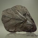 Hedenbergita<br />Mina Temperino, Campiglia Marittima, Campigliese, Provincia Livorno, Toscana, Italia<br />82 x 67 x 60 mm.<br /> (Autor: Rafael Galiana)