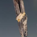 Kermesite<br />Kermesite occurrence, Damingshan Range, Dafeng, Shanglin, Nanning Prefecture, Guangxi Zhuang Autonomous Region, China<br />7 cm<br /> (Author: Gerhard Brandstetter)