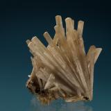 Natrolite<br />Imilchil area, Anti-Atlas, Er Rachidia Province, Drâa-Tafilalet Region, Morocco<br />37 mm<br /> (Author: Gerhard Brandstetter)