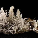 Aragonite (variety eisenblüte)<br />Erzberg, Eisenerz (Steiermark), Leoben District, Styria/Steiermark, Austria<br />21 cm<br /> (Author: Gerhard Brandstetter)
