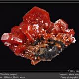 Vanadinite<br />Mibladen (Mibladen mining district), Midelt, Midelt Province, Drâa-Tafilalet Region, Morocco<br />fov 6 cm<br /> (Author: ploum)