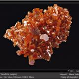 Vanadinite<br />Mibladen (Mibladen mining district), Midelt, Midelt Province, Drâa-Tafilalet Region, Morocco<br />fov 4 cm<br /> (Author: ploum)