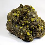 Sulfur on Bitumen<br />Cozzo Disi Mine, Casteltermini, Agrigento (Girgenti) Province, Sicily, Italy<br />28 cm<br /> (Author: Gerhard Brandstetter)