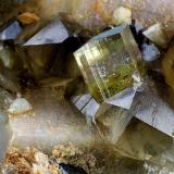 Elbaite<br />San Piero in Campo, Campo nell'Elba, Elba Island, Livorno Province, Tuscany, Italy<br />FOV 25 mm<br /> (Author: Gerhard Brandstetter)
