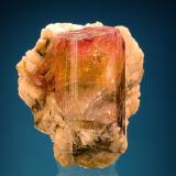 Elbaite<br />Grotta d'Oggi Quarry, San Piero in Campo, Campo nell'Elba, Elba Island, Livorno Province, Tuscany, Italy<br />20 mm<br /> (Author: Gerhard Brandstetter)