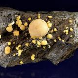 Calcite<br />Montalto di Castro, Viterbo, Lazio, Italy<br />12 cm<br /> (Author: Gerhard Brandstetter)