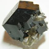 Schorl, QuartzMonte Erongo, Usakos, Región Erongo, Namibia40x35x45mm (Author: Heimo Hellwig)