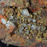 BaritaPedrera Coll de Nit 2 (Pedrera Frares), Riera d'Avencó, Vall d'Avencó, Aiguafreda, Comarca Vallès Oriental, Barcelona, Cataluña / Catalunya, España6 x 3 x 2 cm (Autor: karbu8)