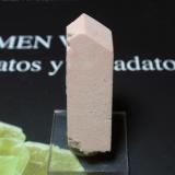 Microclina<br />Pedrera Mas Sever, Massabè (Mas Ceber), Sils, Comarca La Selva, Gerona / Girona, Cataluña / Catalunya, España<br />10x35 mm<br /> (Autor: Ignacio)