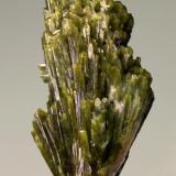 Epidote<br />Gertrusk Mountain, Saualpe, Carinthia/Kärnten, Austria<br />36 mm<br /> (Author: Gerhard Brandstetter)