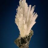 Scolecite<br />Gigler Quarry, Malta Valley, Hohe Tauern, Salzburg, Austria<br />32 mm<br /> (Author: Gerhard Brandstetter)