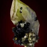Titanite<br />Elschekamm, Ankogl, Hohe Tauern, Salzburg, Austria<br />15 mm<br /> (Author: Gerhard Brandstetter)