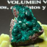 Dioptasa<br />Mina Tsumeb, Tsumeb, Región Otjikoto, Namibia<br />25x30 mm<br /> (Autor: Ignacio)