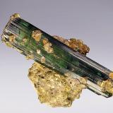 Elbaite<br />Otjua Mine, Otjua Farm 37, Karibib District, Erongo Region, Namibia<br />53 mm<br /> (Author: Gerhard Brandstetter)