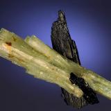 Beryl on Tourmaline<br />Erongo Mountain, Usakos, Erongo Region, Namibia<br />43 mm<br /> (Author: Gerhard Brandstetter)