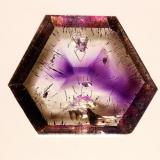 Quartz Var. Amethyst<br />Goboboseb Mountains, Brandberg area, Erongo Region, Namibia<br />17 mm<br /> (Author: Gerhard Brandstetter)