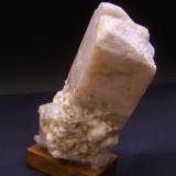 Microclina<br />Shengus (Shingus), Distrito Roundu, Gilgit-Baltistan (Áreas del Norte), Paquistán<br />15,5 x 6 x 5,5 cm<br /> (Autor: Antonio Alcaide)