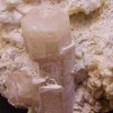 Fluorapatito<br />Distrito Skardu, Gilgit-Baltistan (Áreas del Norte), Paquistán<br />7,7 x 7 x 4,5 cm<br /> (Autor: Antonio Alcaide)