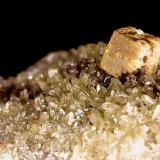 WulfenitaMina Atrevida, Vimbodí i Poblet, Comarca Conca de Barberà, Tarragona, Cataluña / Catalunya, España1 cm (Autor: Obsi)