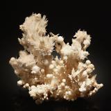 Aragonite<br />Ajax Mine, Mammoth, Tintic District, East Tintic Mountains, Juab County, Utah, USA<br />5.0 x 5.9 cm<br /> (Author: crosstimber)