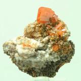 WulfenitaMina Red Cloud, Montes Trigo, Distrito Silver, Condado La Paz, Arizona, USA3,5 x 3,5 x 1,1 cm (Autor: Antonio Alcaide)