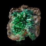 AnnabergiteLavrion Mines, Lavrion Mining District, Attikí (Attica) Prefecture, Greece5,5 x 4,5 x 3,5 cm (Author: MIM Museum)